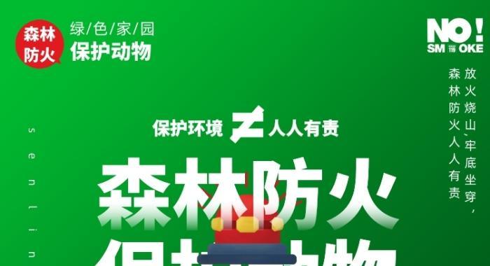 齐心协力，保护森林和动物（小树苗的故事）