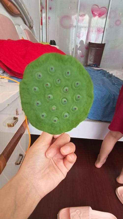 成长的喜悦（小女孩在孤儿院的成长之路）