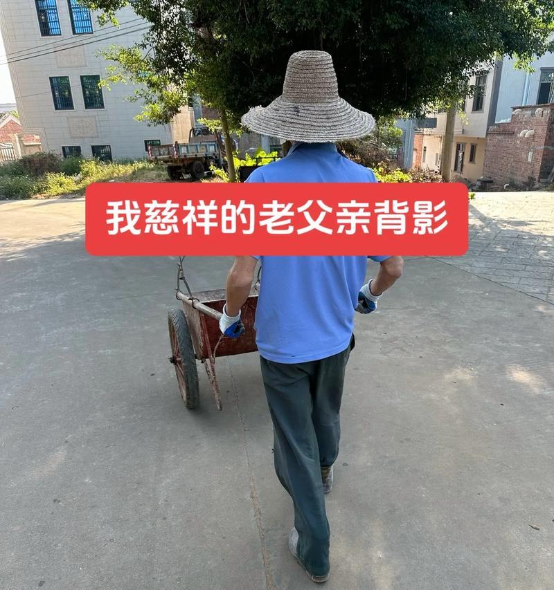 他是我的英雄，我的偶像，我的支持者（一个陪伴我成长的父亲）
