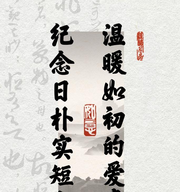 温暖如初：流浪的猫咪