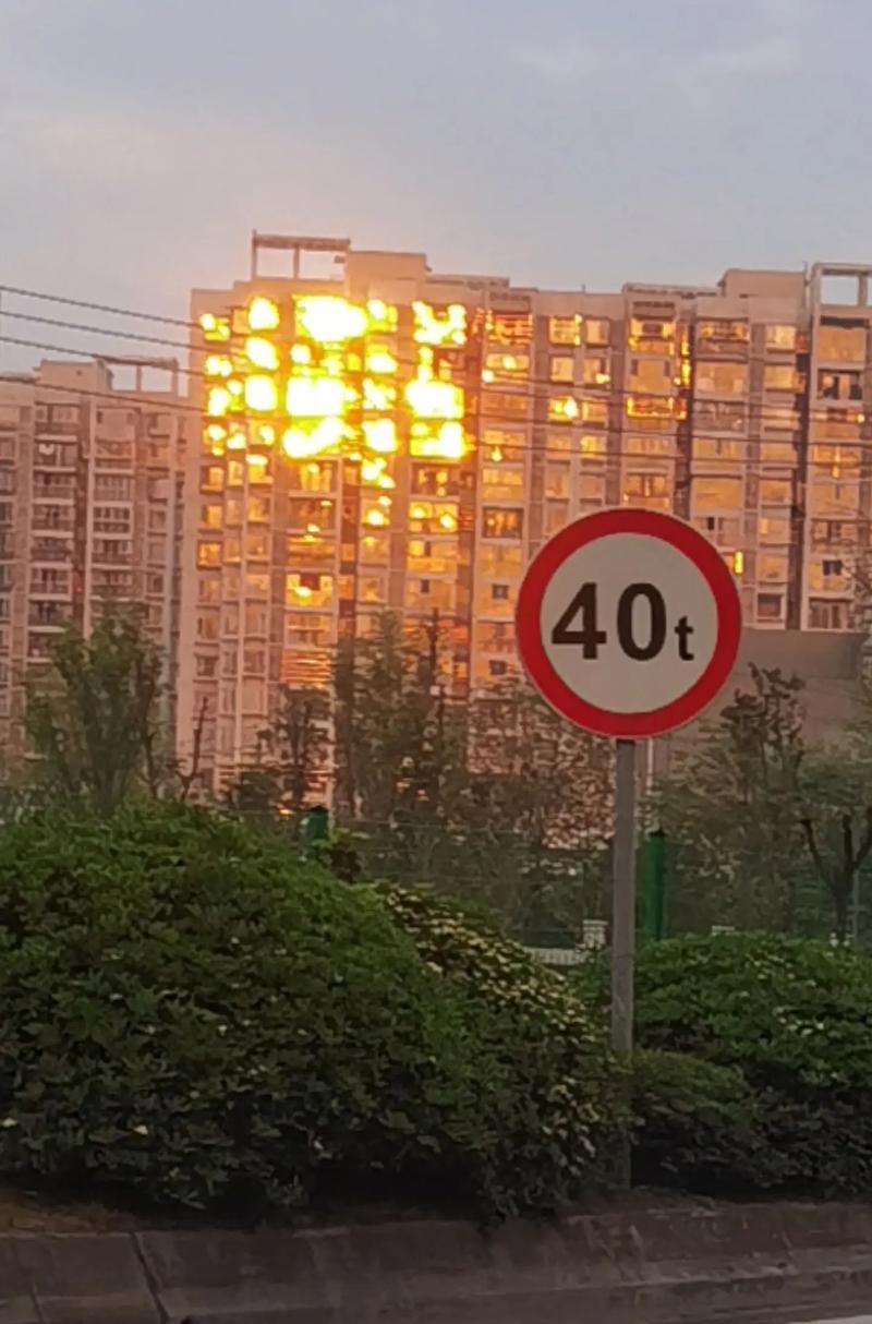 初升的太阳（一个男人的奋斗历程）