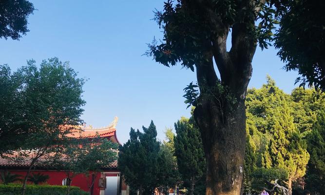 小说《记忆的承载》