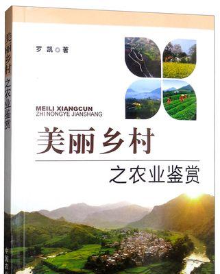 美丽乡村的小故事