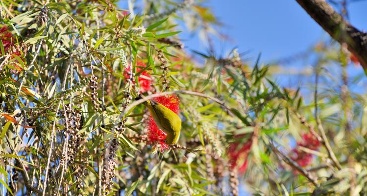 春日踏青记——让心灵在春天里自由飞翔