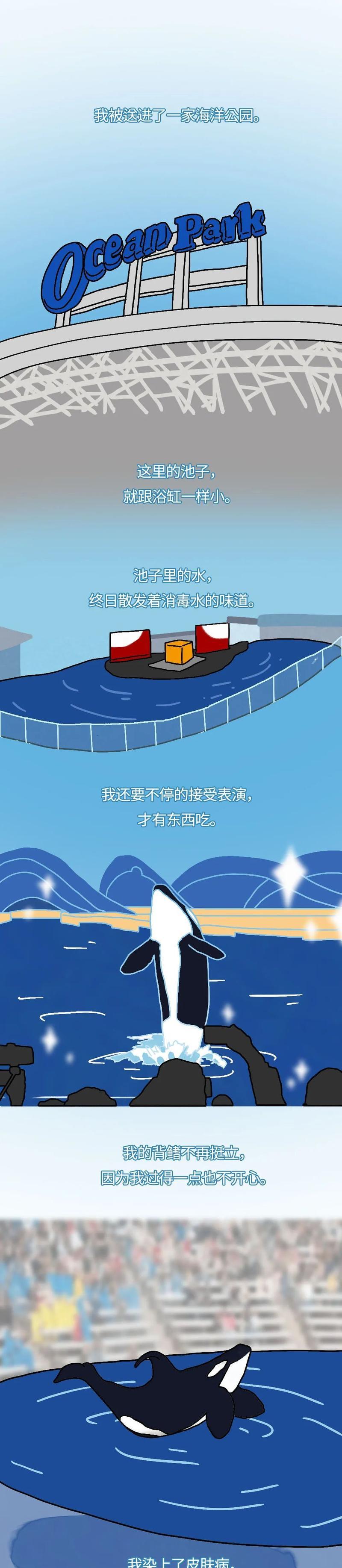 我是地球上最重要的元素之一（我是地球上最重要的元素之一）