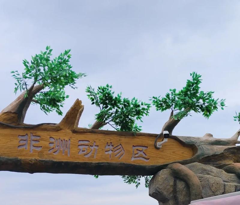 游野生动物园的奇妙之旅（一次与野生动物亲密接触的旅程）