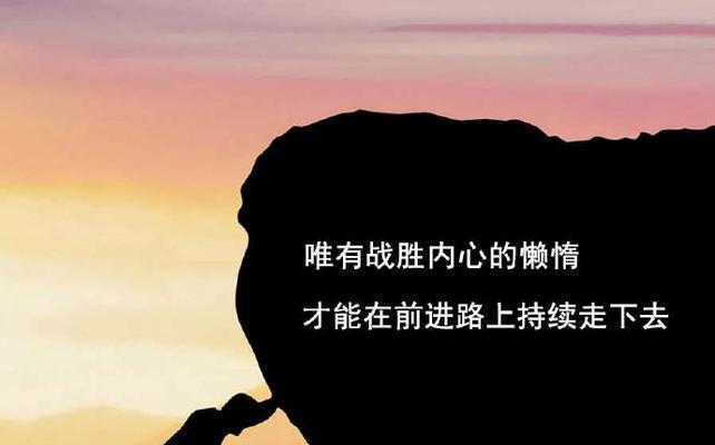 向阳而生（一个人的战斗史）