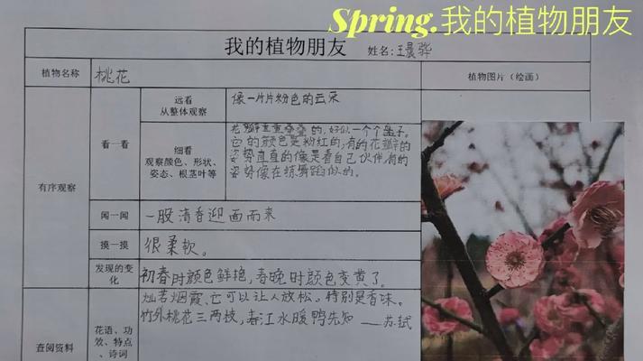 我的植物朋友（一场特别的春游）