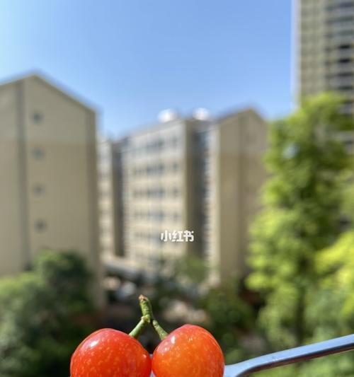 童年飘香的味道——追忆儿时美好