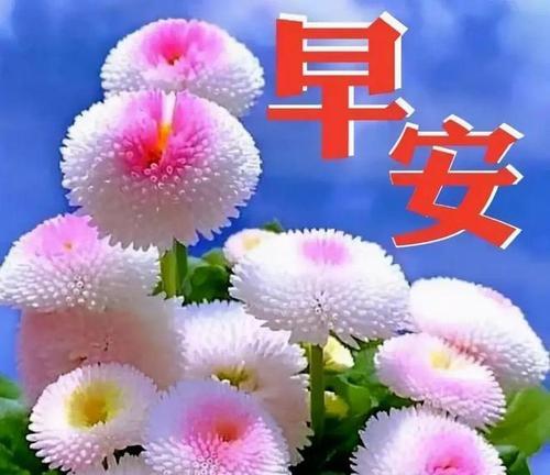 如何通过努力和决心净化内心，找到自我（如何通过努力和决心净化内心，找到自我）
