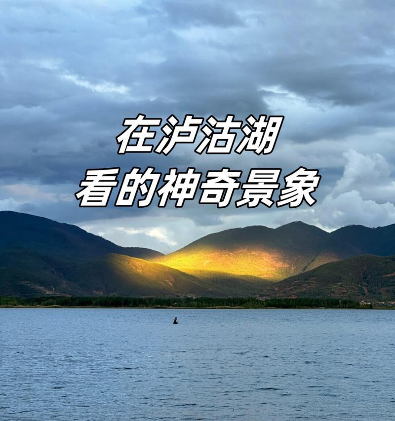 《我的奇妙画笔》（用画笔创造出奇妙的世界）