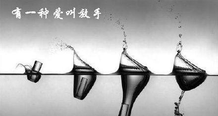 宽容是一种爱（一只迷路的小猫）