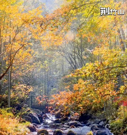 花园里的故事（春风拂面，花香扑鼻，一场奇妙的冒险之旅）