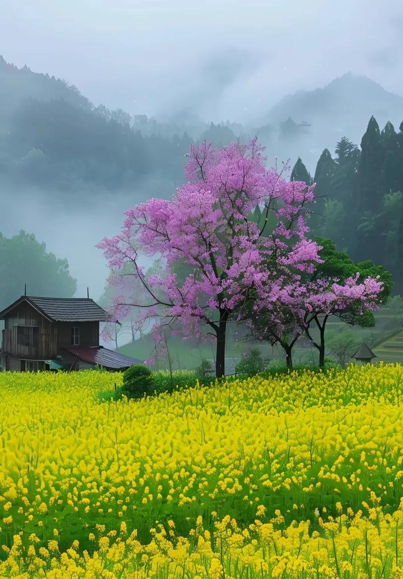 春雨洒落江南（一场故事，一场春天，一个江南小镇）
