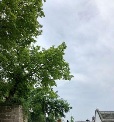 寻找纯真的痕迹（一个人的心灵回归之旅）