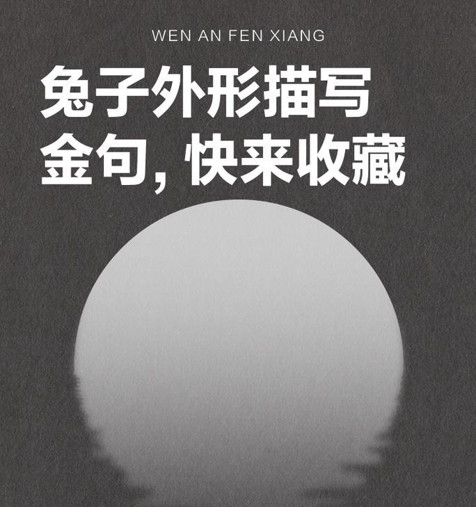 兔子的奇遇记（生命不息，奇迹常在）