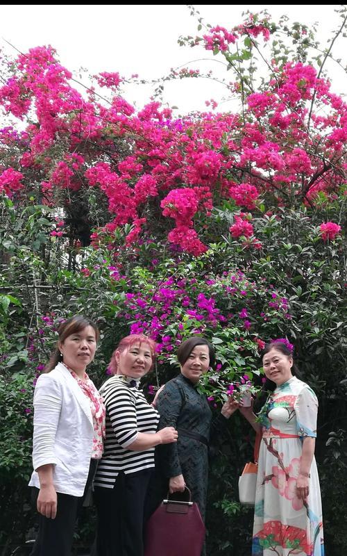 友谊之花盛开的故事（以真挚的心交流，让友谊之花盛开）