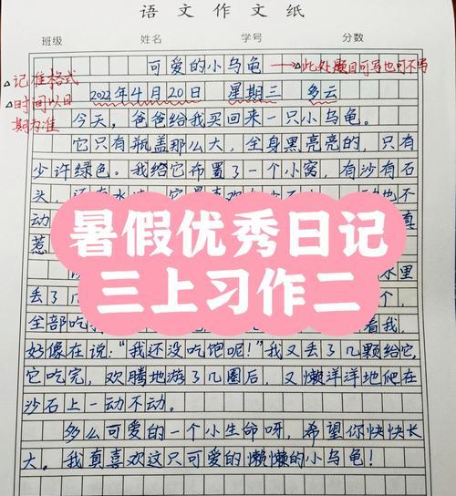 小乌龟的奇妙冒险（一个小小的生命，也能拥有大大的梦想）