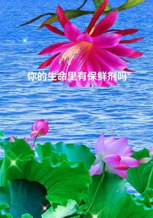 穿越生命之路（路途中的成长与追求）
