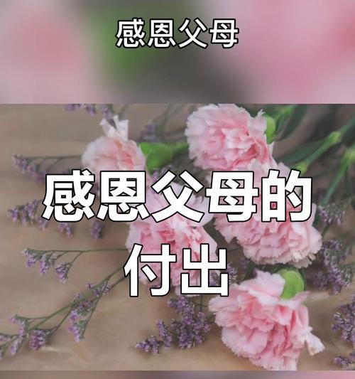 父母的爱（感恩在心）