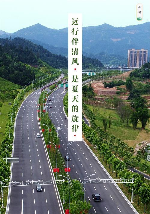 小狗与女孩的远行之旅（一只四脚朋友的陪伴和帮助）