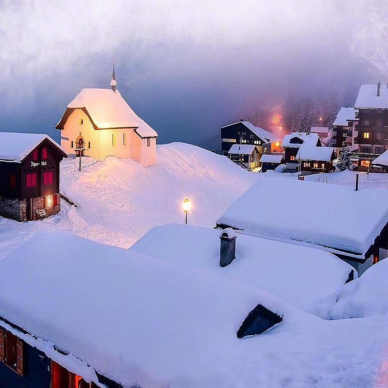 寻找阳光（漫步在雪中的寻找之旅）