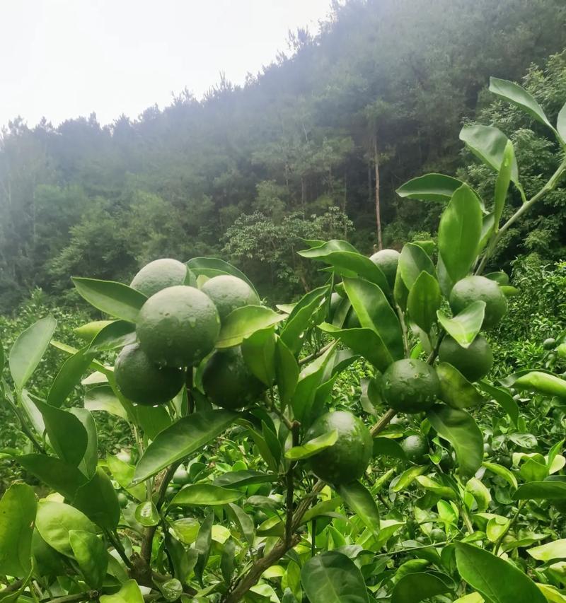 一个人从迷茫到坚定追求幸福的故事（一个人从迷茫到坚定追求幸福的故事）
