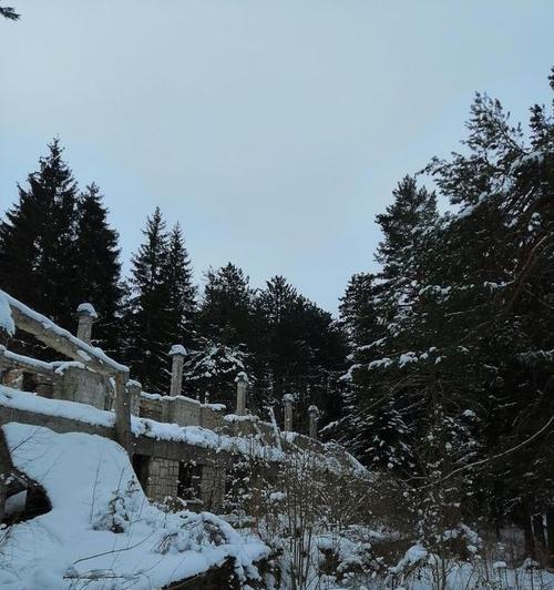 白雪皑皑，万物沉寂；冬日的迷人之处（白雪皑皑，万物沉寂；冬日的迷人之处）