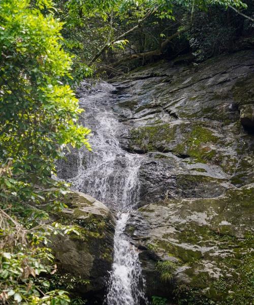 山海梦游者（追逐奇幻风景的探险之旅）