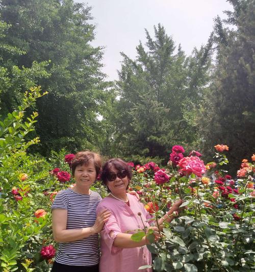 友谊的力量在生活中扮演着怎样的角色（友谊的力量在生活中扮演着怎样的角色）
