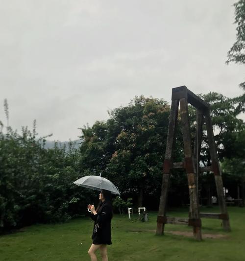 永不枯竭的树——一段不朽的旅程（追寻神奇之树，经历奇妙之旅）
