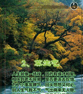 给予的力量(一位老人和一只小鸟的故事)