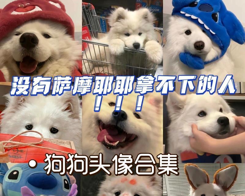 珍惜身边的朋友（珍惜身边的朋友）