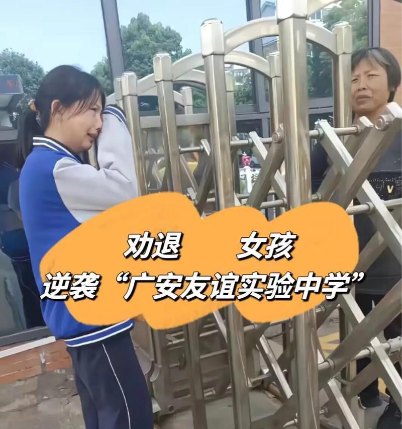 友谊长存——一个初中生的成长故事