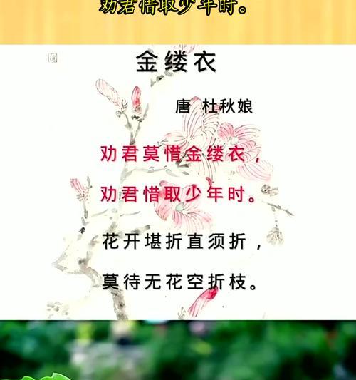 少年时的记忆（珍爱青春，留住美好）